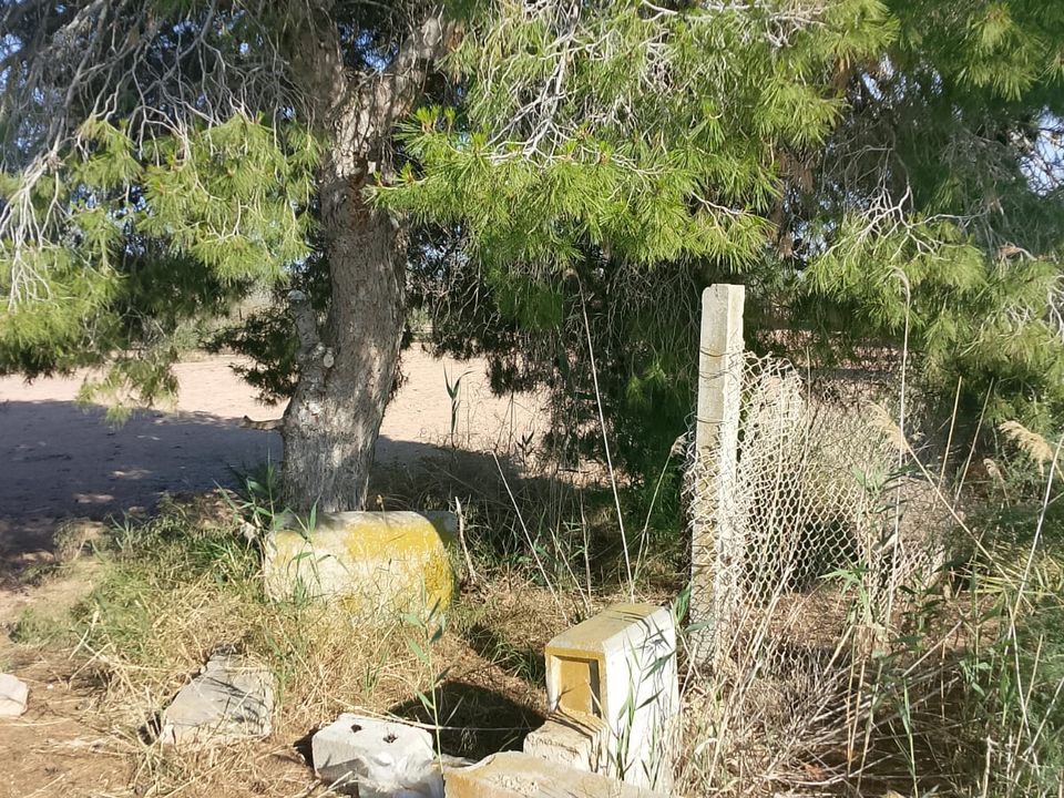Terra em El Realengo, Alicante - foto 4